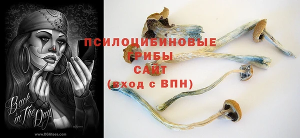 дживик Горняк