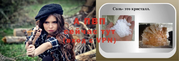 ГАЛЛЮЦИНОГЕННЫЕ ГРИБЫ Горно-Алтайск