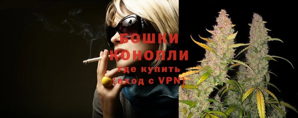 дживик Горняк