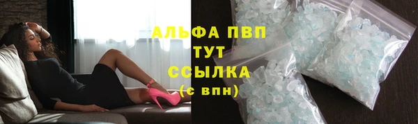 ГАЛЛЮЦИНОГЕННЫЕ ГРИБЫ Горно-Алтайск