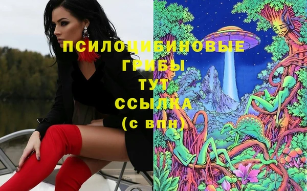 дживик Горняк