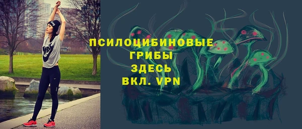 ГАЛЛЮЦИНОГЕННЫЕ ГРИБЫ Горно-Алтайск