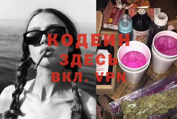 шишки Вяземский